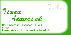 timea adamcsek business card